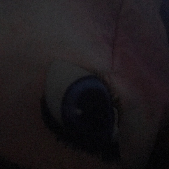 Meet the Posher Other - Meet your Posher, Yesi